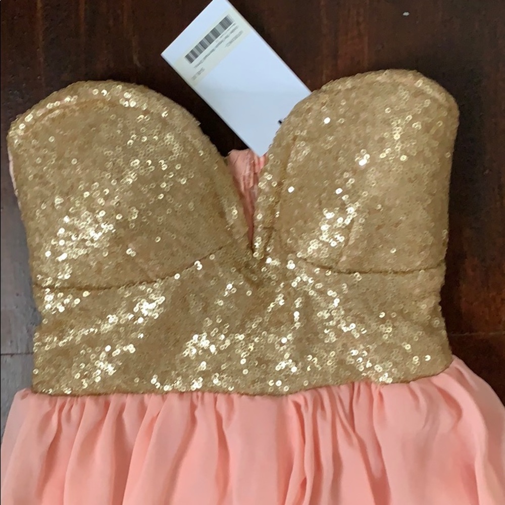 Champagne Sparkle and Pink Maxi Dress